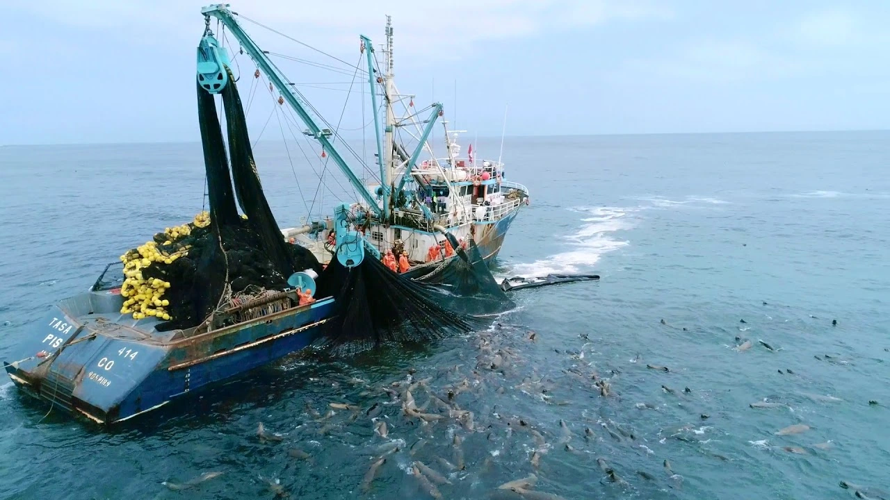 World's Biggest Fishery